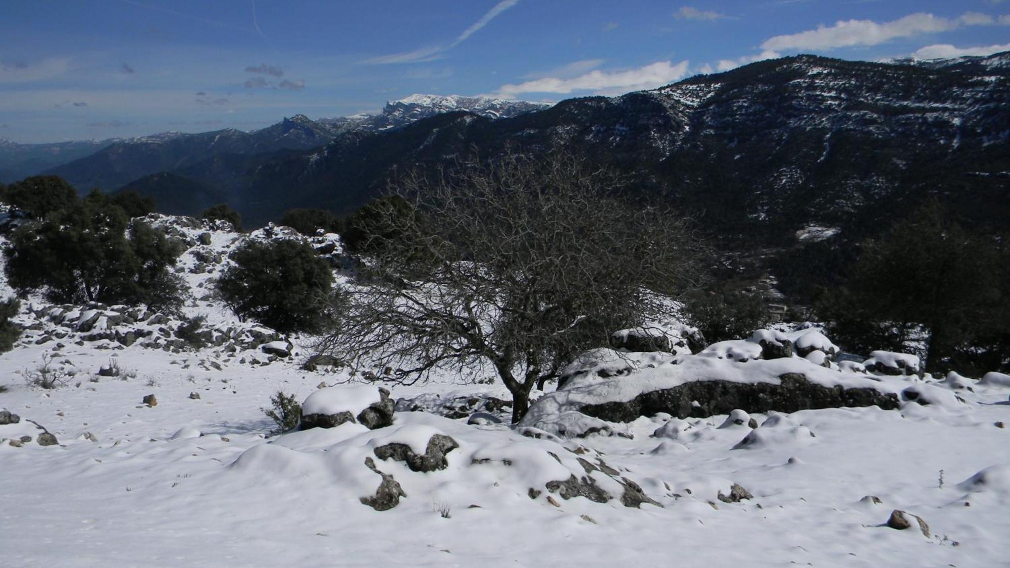 Casa Rural Fuente Zagrilla Exteriér fotografie